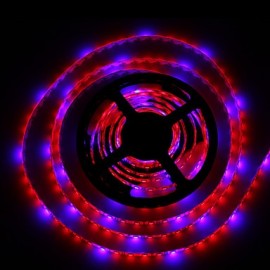 2Pcs 5M Grow LED Flexible Strip Tape Light 4 Red 1 Blue Greenhouse Hydroponic Plant Growing Lamp with Driver