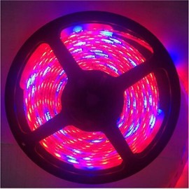 5M 5Red1Blue 300LED SMD5050 IP65 Hydroponic Systems Led Plant Grow Light Waterproof Led(DC12V)