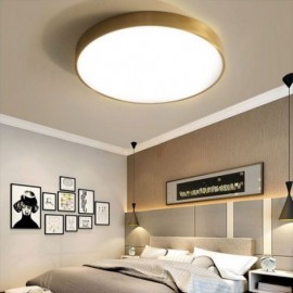 Round Flush Mount Modern Golden Acrylic Ceiling Light